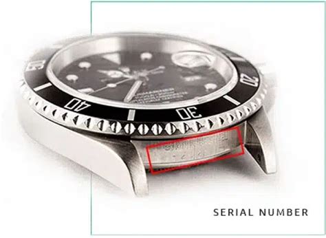 rolex m092117 price|Rolex serial number lookup 2022.